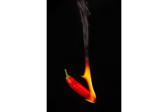 <p>2nd - A Grade: Set Digital - Smokin Hot Chilli <small>© Wade Buchan</small></p>
