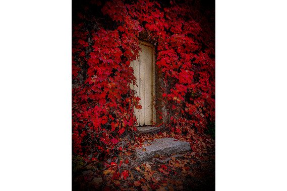 <p>HC - B Grade: Set Digital - The Hidden Door <small>© Grace Sobania</small></p>
