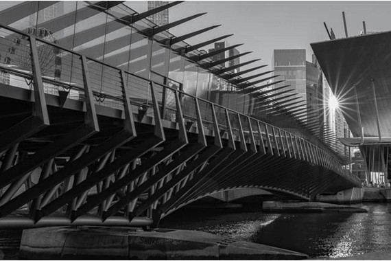 <p>1st - B Grade: Open Print - Citywalk <small>© Wendy Rowe</small></p>
