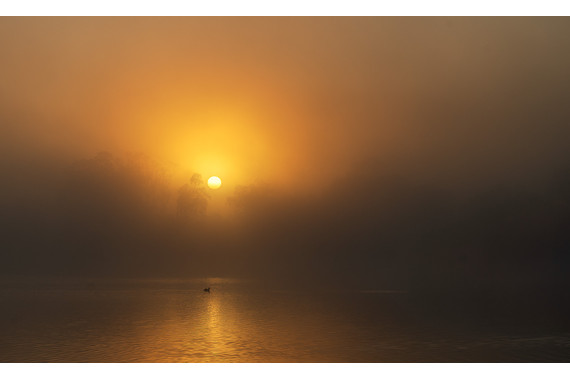 <p>HC - A Grade: Set Print - Golden Morning <small>© Kathryn Hocking</small></p>

