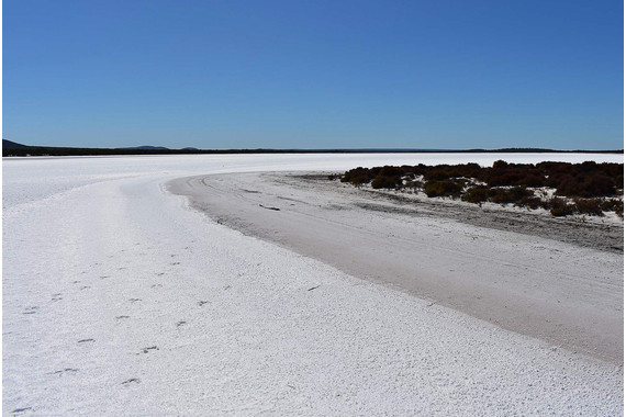 <p>3rd - B Grade: Set Digital - Salt Lake <small>© Carol Gurney</small></p>
