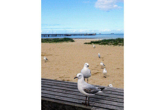 <p>2nd - B Grade: Set Print - Waiting in Line <small>© Pippa Virag</small></p>
