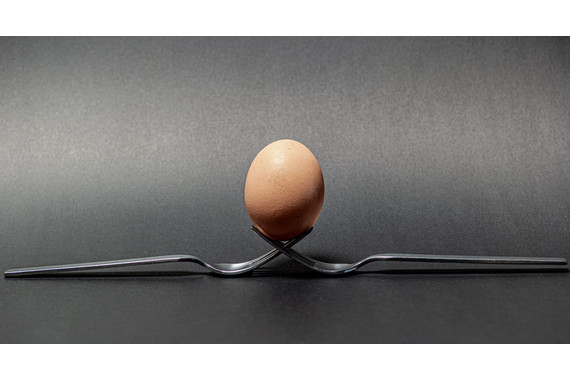 <p>3rd - A Grade: Set Digital - Brown Egg <small>© Karl Zeller</small></p>
