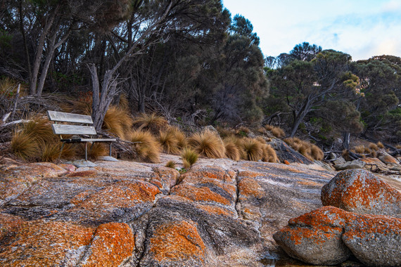 <p>3rd - B Grade: Open Print - Colours of Flinders Island <small>© Gayle Tout</small></p>
