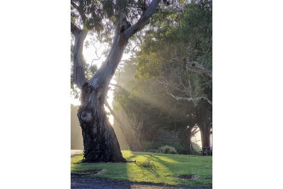 <p>HC - B Grade: Open Digital - Early Morning at Inverloch <small>© Margaret Turner</small></p>
