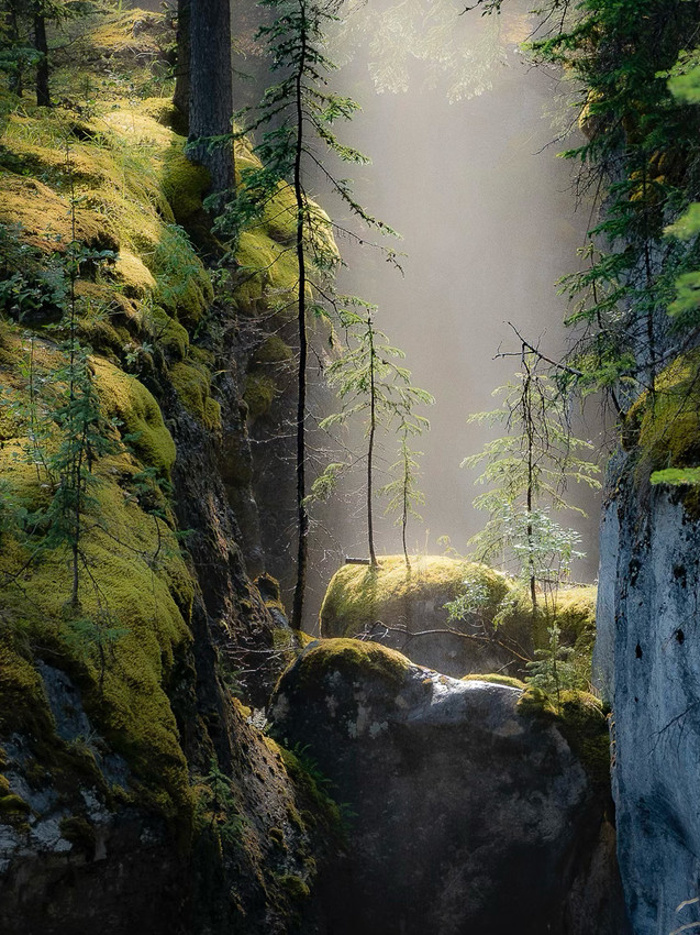 A little ray of Sunshine, Maligne Canyon Jasper, Canada